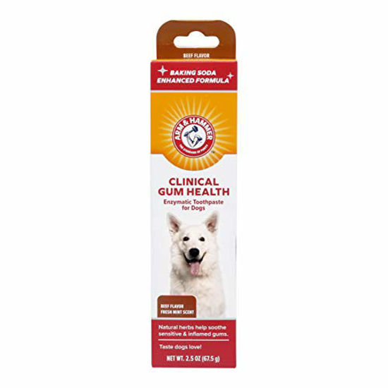 Picture of Arm & Hammer Clinical Care Dental Gum Health Enzymatic Toothpaste for Dogs | Soothes Inflamed Gums | Safe for Puppies, Beef Flavor