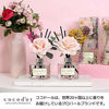 Picture of Cocod'or Rose Flower Reed Diffuser/Rose Perfume / 6.7oz(200ml) / 1 Pack/Reed Diffuser Set, Oil Diffuser & Reed Diffuser Sticks, Home Decor & Office