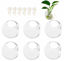 Picture of GEOLUX 6-Pack Wall Hanging Planters Glass Terrariums - Round Air Plants Wall Containers Succulents Globe Orbs (4.7 x 4.7 Inches)