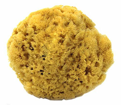 Picture of 100% Natural Sea Sponge 5-6" by Spa Destinations®"Creating The in Home Spa Experience" for The Perfect Bath or Shower Experience.