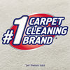 Picture of Resolve High Traffic Carpet Foam, 22 oz Can, Cleans Freshens Softens & Removes Stains (Pack of 4)