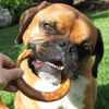 Picture of Bully Stick Rings for Dogs (25 Pack) - Natural Bulk Dog Dental Treats & Healthy Chew, Best Thick Low-Odor Pizzle Stix, from Grass Fed Beef