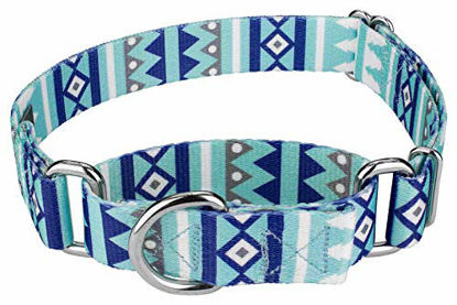 Picture of Country Brook Petz - Snowy Pines Martingale Dog Collar - Christmas Collection with 15 Festive Designs (1 Inch, Medium)