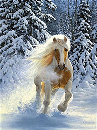 Picture of DIY Oil Paint by Number Kit for Adults Beginner 16x20 inch - Running Horse on Snow, Drawing with Brushes Christmas Decor Decorations Gifts (Without Frame)