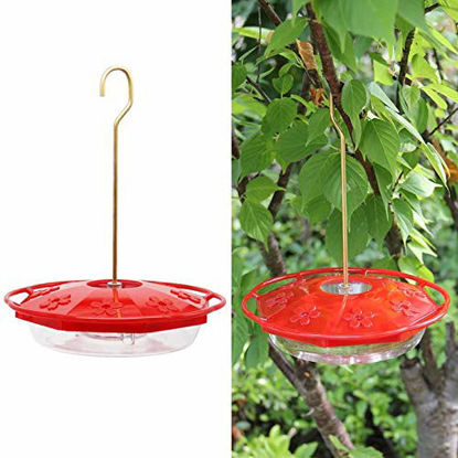 Picture of Juegoal 12 oz Hanging Hummingbird Feeder with 8 Feeding Ports