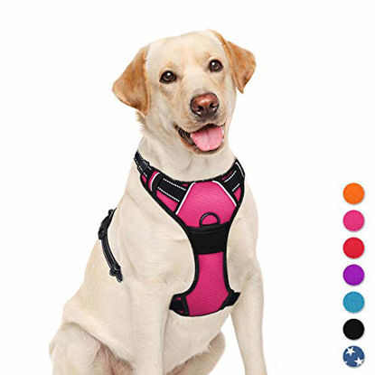 bay dog harness