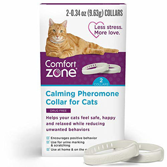 View of The 10 Best Calming Aids for Cats of 2026 - The Spruce Pets
