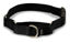 Picture of PetSafe Martingale Collar with Quick Snap Buckle, 1" Large, Black