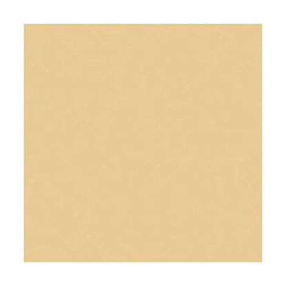 Picture of Rosco un 1/2 CTO 20X24 Amber - Rosco RS340811