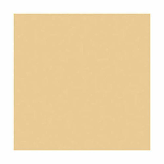 Picture of Rosco un 1/2 CTO 20X24 Amber - Rosco RS340811