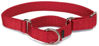 Picture of PetSafe Martingale Collar 1" Large, Red