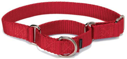 Picture of PetSafe Martingale Collar 1" Large, Red