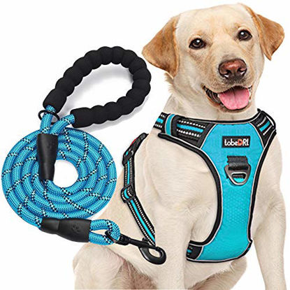Picture of tobeDRI No Pull Dog Harness Adjustable Reflective Oxford Easy Control Medium Large Dog Harness with A Free Heavy Duty 5ft Dog Leash (L (Neck: 18"-25.5", Chest: 24.5"-33"), Blue Harness+Leash)