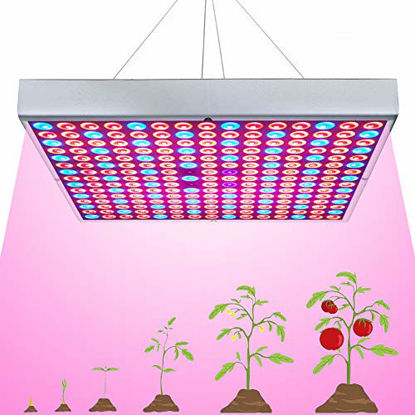 Picture of 75W LED Grow Light for Indoor Plants Growing Lamp 225 LEDs UV IR Red Blue Full Spectrum Plant Lights Bulb Panel for Hydroponics Greenhouse Seedling Veg and Flower by Venoya