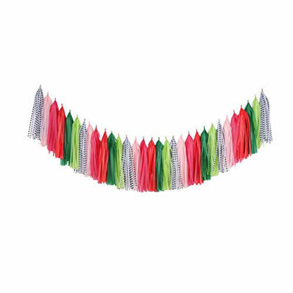 Picture of Fonder Mols Watermelon Party Tassel Garland DIY Kit Balloon Tail Tassels Melon Birthday Summer Party Decorations(Pack of 30, Coral Fuchsia Green Pink Polka) A24