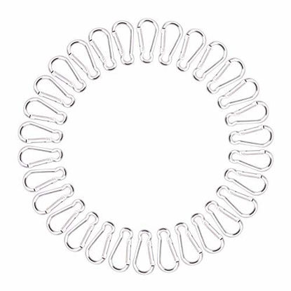 Picture of 30pcs Small Aluminum Spring Snap Carabiner Spring Clip Hook D Shape Carabeaner Keychain (Silver)