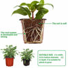 Picture of Augshy 110 Pcs 4" Plastic Plants Nursery Pot,Seed Starting Pots