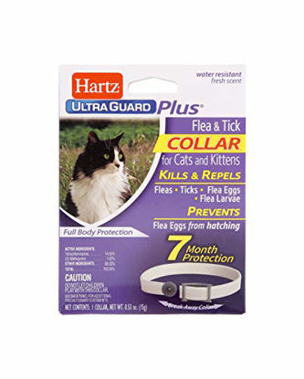 Picture of Hartz UltraGuard Plus Water Resistant 7 Month Protection Breakaway Flea & Tick Collar for Cats (3270094268)