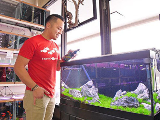 GetUSCart- Thrive Planted Aquarium Fertilizer -All in One Planted Tank ...