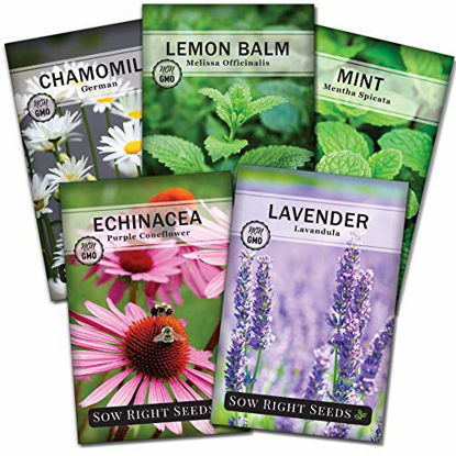 Picture of Sow Right Seeds - Herbal Tea Collection - Lemon Balm, Chamomile, Mint, Lavender, Echinacea Herb Seed for Planting; Non-GMO Heirloom Seed, Instructions to Plant Indoor or Outdoor; Great Gardening Gift