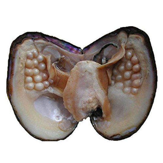 Picture of NewEGG Big Oyster Pearl Party Pearl Freshwater Cultured Oval Pearl Beads (5-7mm 28 PCs/Lot) Oysters with Pearl Inside Anniversary Decoration for Women