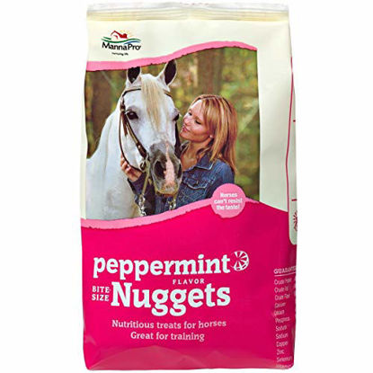 Picture of Manna Pro Bite-Size Nuggets | Peppermint Flavored Horse Treats | 1 Pound