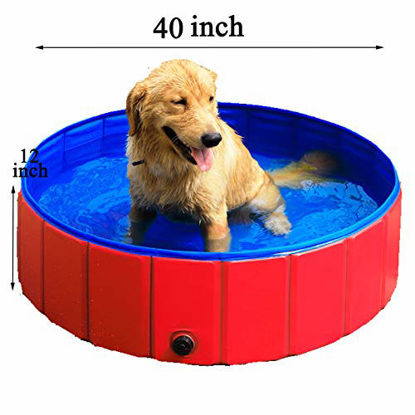 Picture of GRULLIN Swimming Pool for Dog Portable Foldable Pet Pool Dogs Cats Bathtub (40by12inch)
