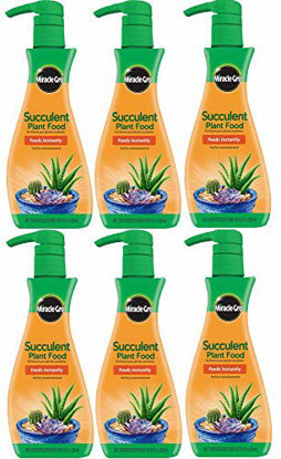 Picture of Miracle-Gro Foaming Succulent Plant Food, 8 oz (6 Pack)