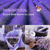 Picture of 9 Bags Natural Dried Flowers Kit, Natural Dried Herbs with 2 Mesh Drawstring Bag for Soap,Candle,Resin Jewelry Making,Bath,Nail - Rose Petals,Rosebuds,Lilium,Jasmine,Don't Forget Me and More