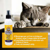 Picture of 3-in-1 Cat & Kitten Training Aid with Bitter | 8 oz Cat Repellent Spray for Indoor and Outdoor Use | Anti Scratch Furniture Protector | Establish Boundaries & Keep Cat Off | Made in The USA