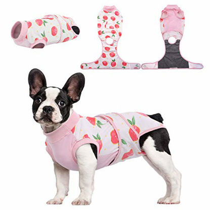 Picture of Kuoser Recovery Suit for Dogs Cats After Surgery, Professional Pet Recovery Shirt Dog Abdominal Wounds Bandages, Substitute E-Collar & Cone,Prevent Licking Dog Onesies Pet Surgery Recovery Suit XS