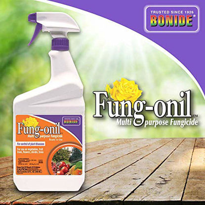 Picture of Bonide (BND883) - Fungal Disease Control, Fung-onil Multi-Purpose Ready to Use Fungicide (32 oz.), Brown/A