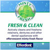 Picture of Efferdent Plus Mint Anti-Bacterial Denture Cleanser | 90 Tablets