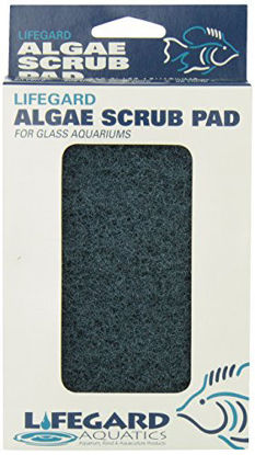 Picture of Lifegard Aquatics 4-Inch by 6-Inch Blue Algae Pad