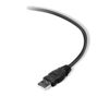 Picture of Belkin Premium Printer Cables Cable10 Ft4 Pin USB Type B to 4 Pin USB Type A, Black (F3U154BT3M)