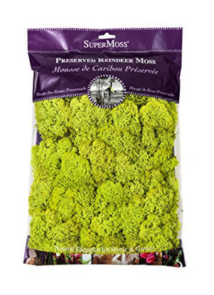 Picture of Super Moss 21669 Reindeer Moss Preserved, Chartreuse, 8oz (200 cubic inch)