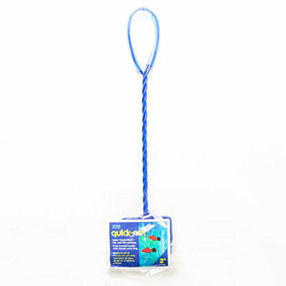 Picture of Penn-Plax QN2 Quick Net for Fish - 2 x 1.75 | Strong and Durable | Safely and Easily Move Fish, Blue, One Size