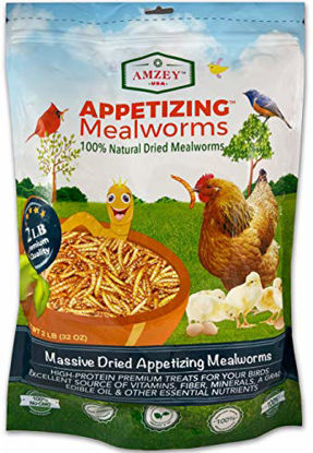 Picture of Dried Mealworms -2 LBS- 100% Natural Non GMO Mealworms -Food For Chicken- High Protein Mealworms for Bird, Duck Food, Bearded Dragon Diet, Gecko Food, Turtle Food, Lizard Food - Bulk Mealworms 2 LBS