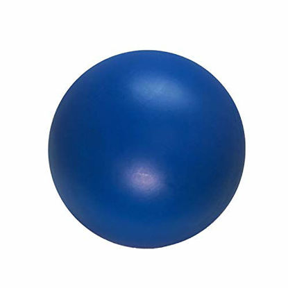 Picture of Virtually Indestructible Best Ball for Dogs, 10-inch