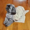 Picture of Bone Dry Embroidered Pet Towel, 44 x 27.5", Gray
