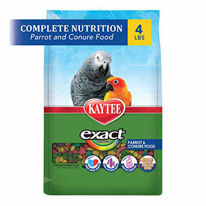 Picture of Kaytee Exact Rainbow Premium Daily Nutrition for Parrots and Conures, 4-Pound Bag
