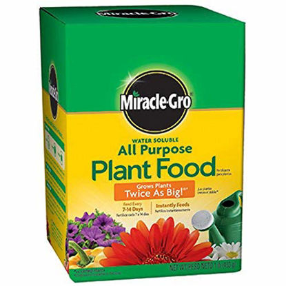 Picture of Miracle-Gro Pound 160101 Water-Soluble All Purpose Plant Food, 24-8-16, 1-Po