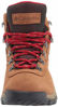 Picture of Columbia womens Newton Ridge Plus Waterproof Amped Hiking Boot, Elk/Mountain Red, 6 US