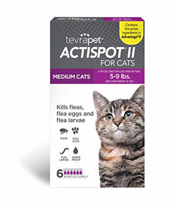 Picture of TevraPet Actispot II Flea Prevention for Cats - 5-9 lbs, 6 doses