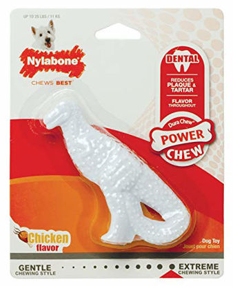 Picture of Nylabone Dental Dinosaur Power Chew Durable Dog Toy Chicken Flavor Small/Regular - Up to 25 lbs.