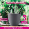 Picture of Gardenix Decor 7'' Self Watering planters for Indoor Plants - Flower Pot with Water Level Indicator for Plants, Grow Tracking Tool - Self Watering Planter Plant Pot - Coco Coir - Gray 3 Pack