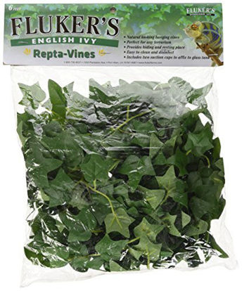 Picture of Fluker's Repta Vines-English Ivy for Reptiles and Amphibians