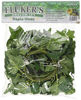 Picture of Fluker's Repta Vines-English Ivy for Reptiles and Amphibians
