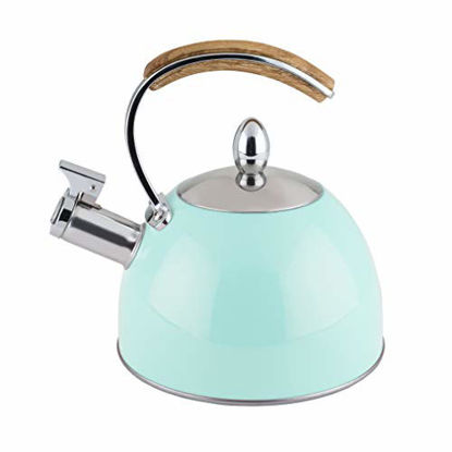https://www.getuscart.com/images/thumbs/0459251_pinky-up-5032-kettle-kitchen-and-home-decor-tea-pot-and-accessory-one-size-turquoise_415.jpeg