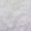 Picture of The Fabric Exchange LONGFUR-White-BTY